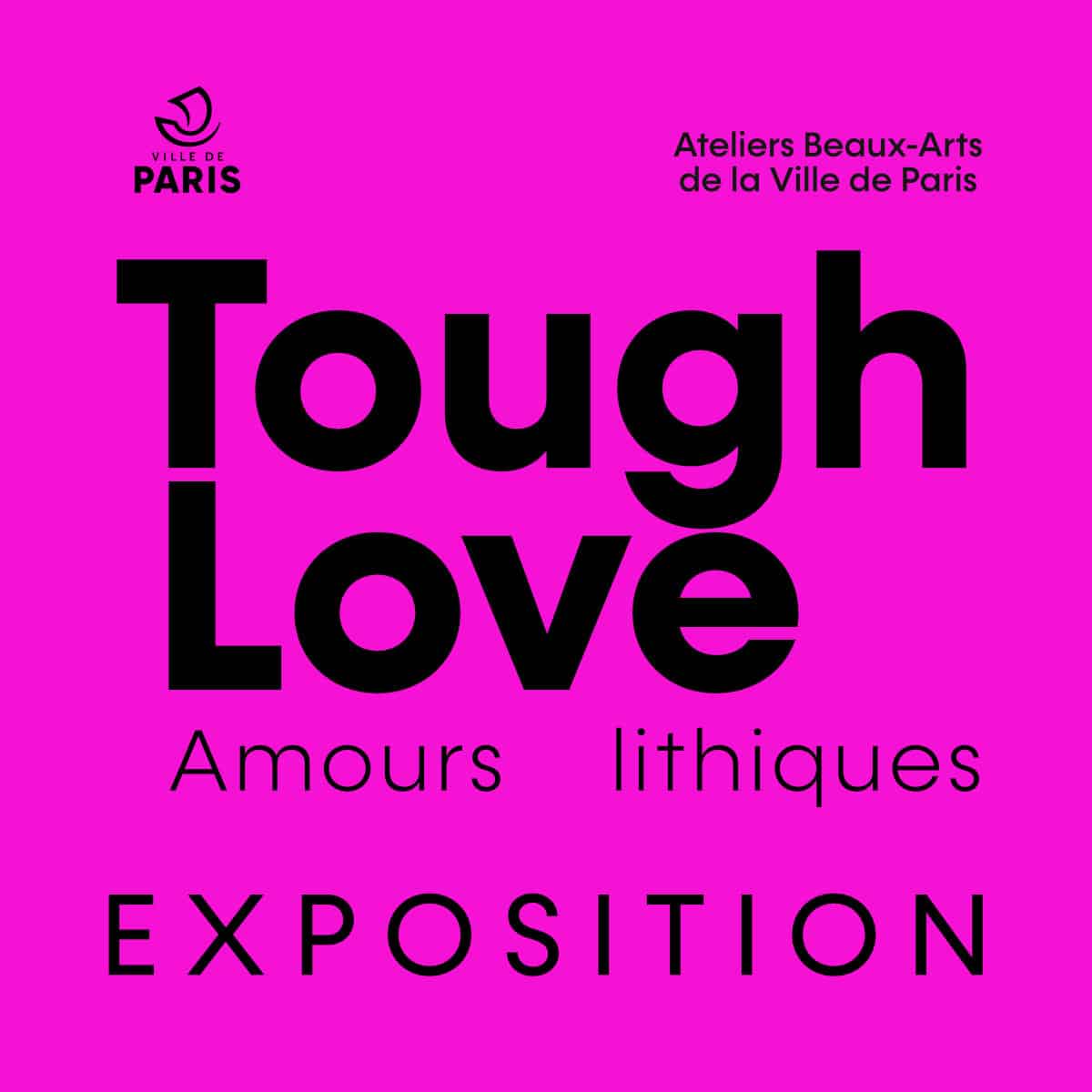 Tough love - amours lithiques l'exposition de février 2025