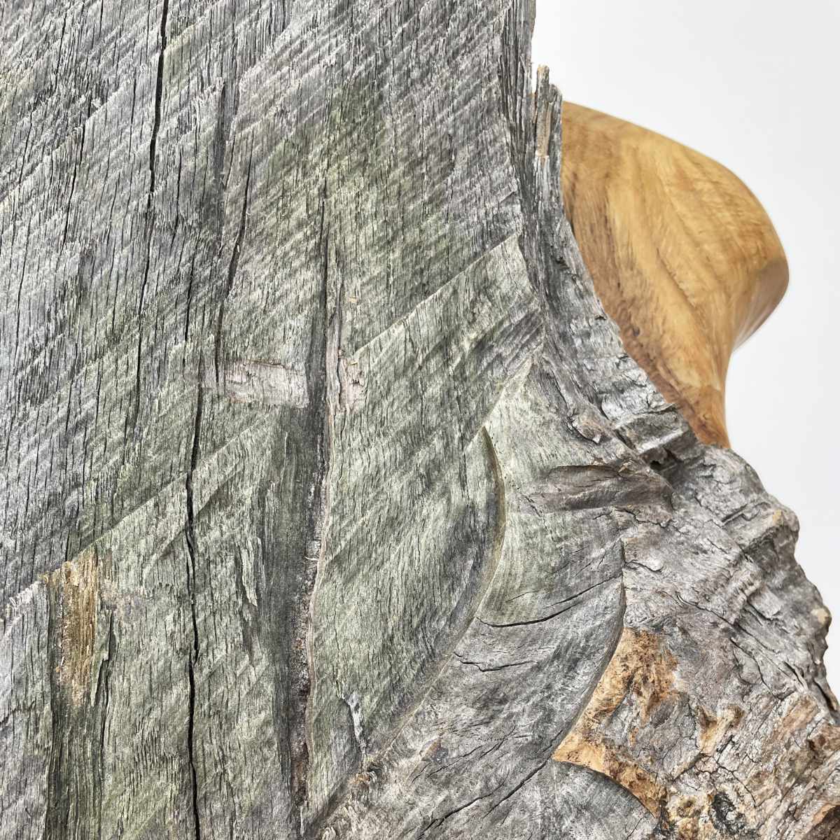 Détail de la sculpture sur bois Figure 8 ©David Chamalet vue de dos - 2025