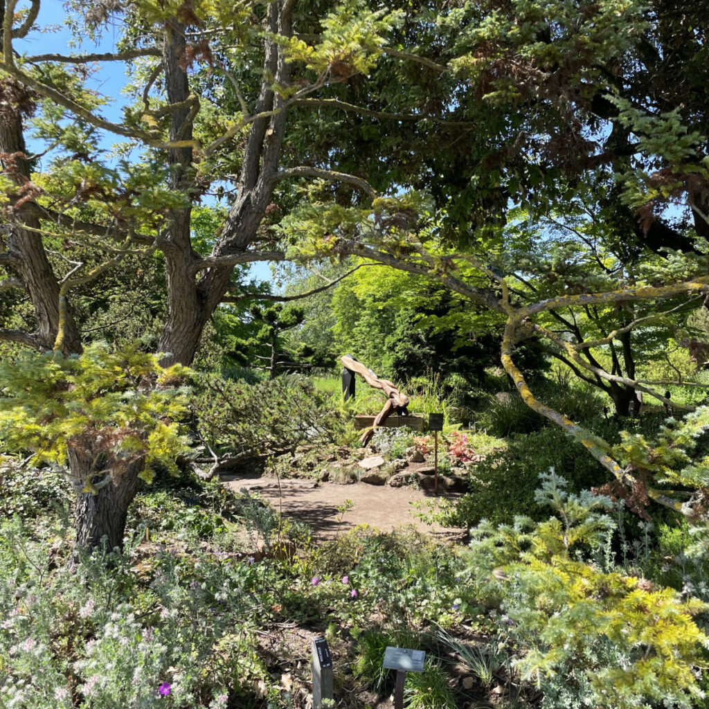 Anamorphosis, une hortisculpture de l'exposition 